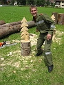 bild (31)